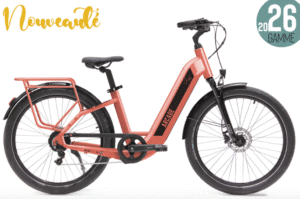 VAE pas cher Lyon 7 facile entretien