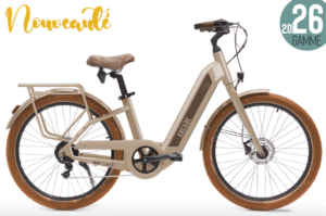 VAE confortable L'echoppe du vélo